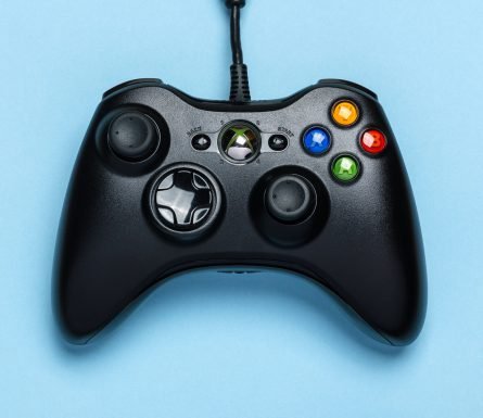 Blue eye cat for sale urgently